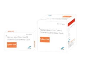 Syber-DSR