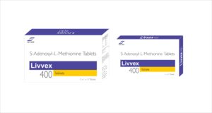 Livvex 400: S-Adenosyl-L-Methionine 400mg Tablets